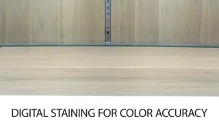 Digital Staining versus Traditional Staining for Color Accuracy