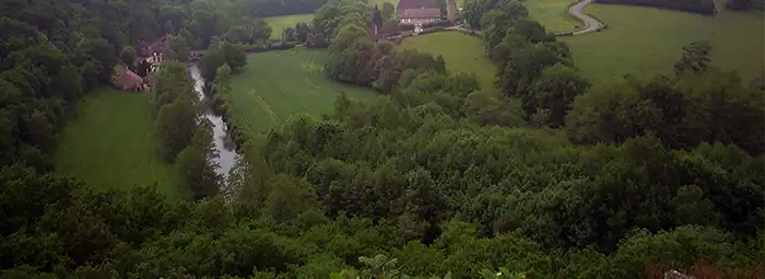 The difference between French Oak and White Oak. Image is of a Landscape, Morvan, France