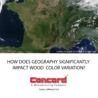How does geography significantly impact Wood color variation?