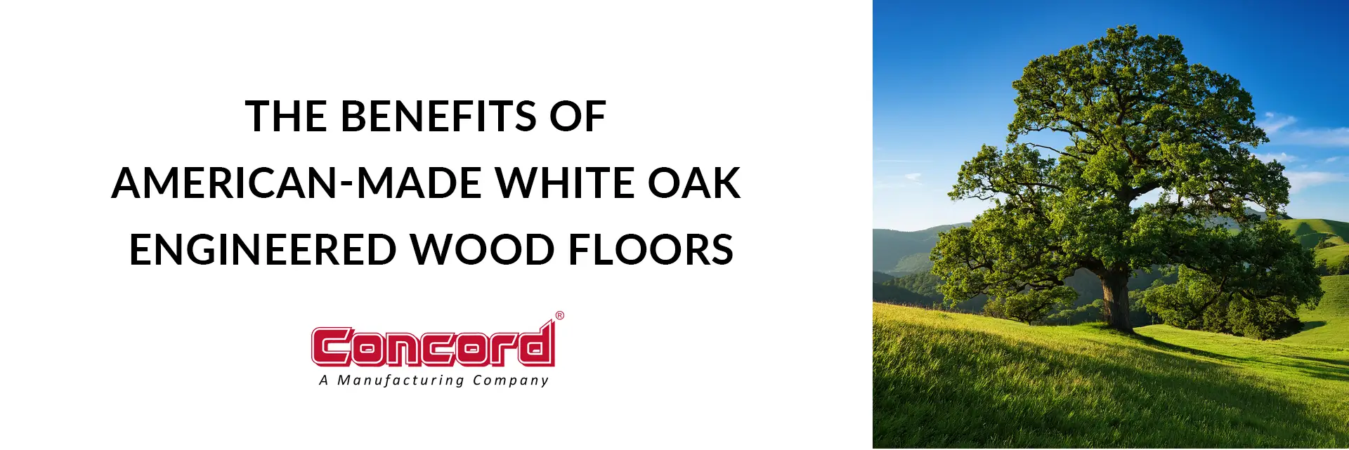 Why Choose American-Made White Oak Hardwood Flooring